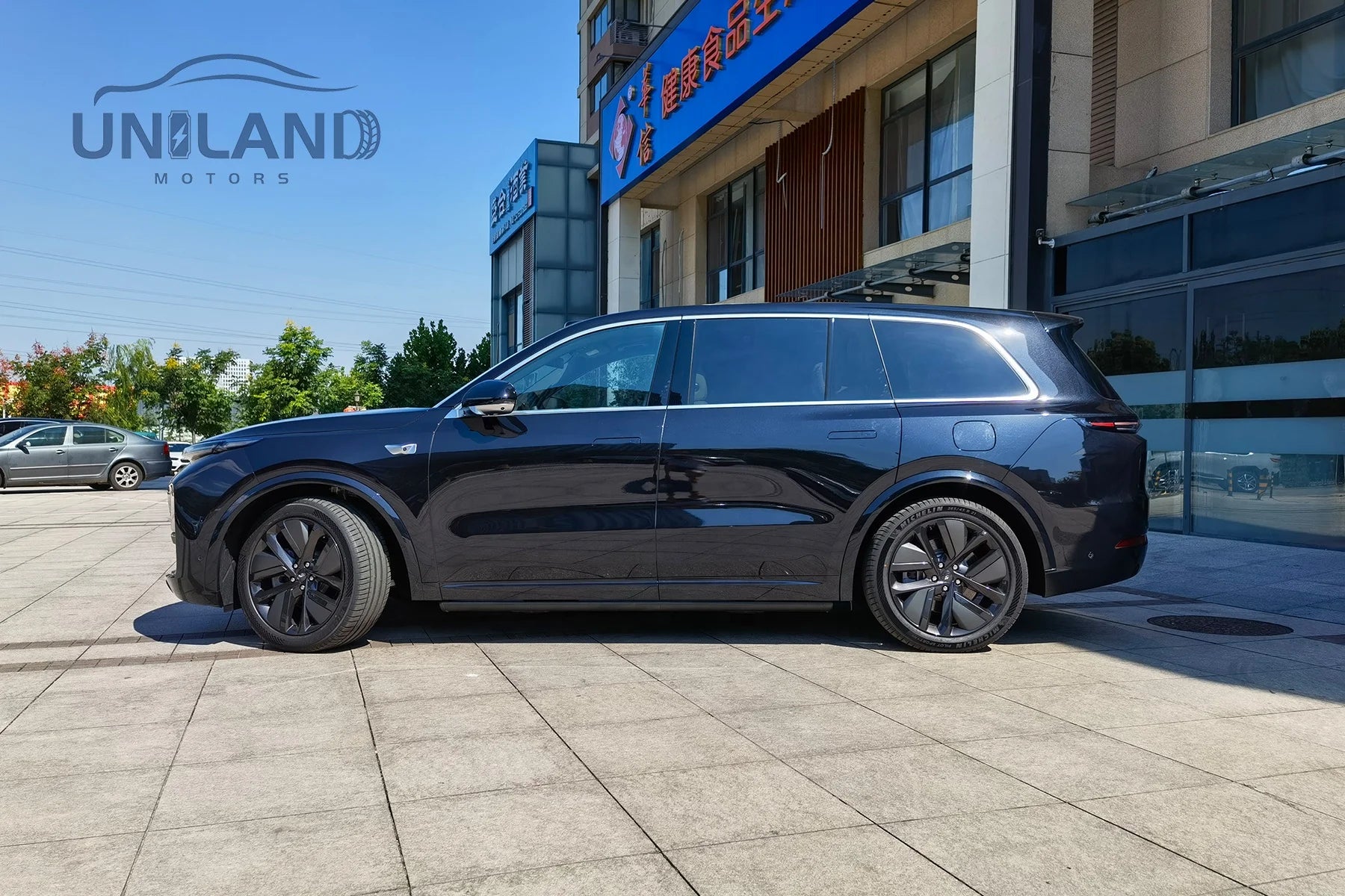 Li Auto 9 Max Lixiang L9 Large Space Luxury SUV Hybrid New Cars Electric Cars Li Auto L9