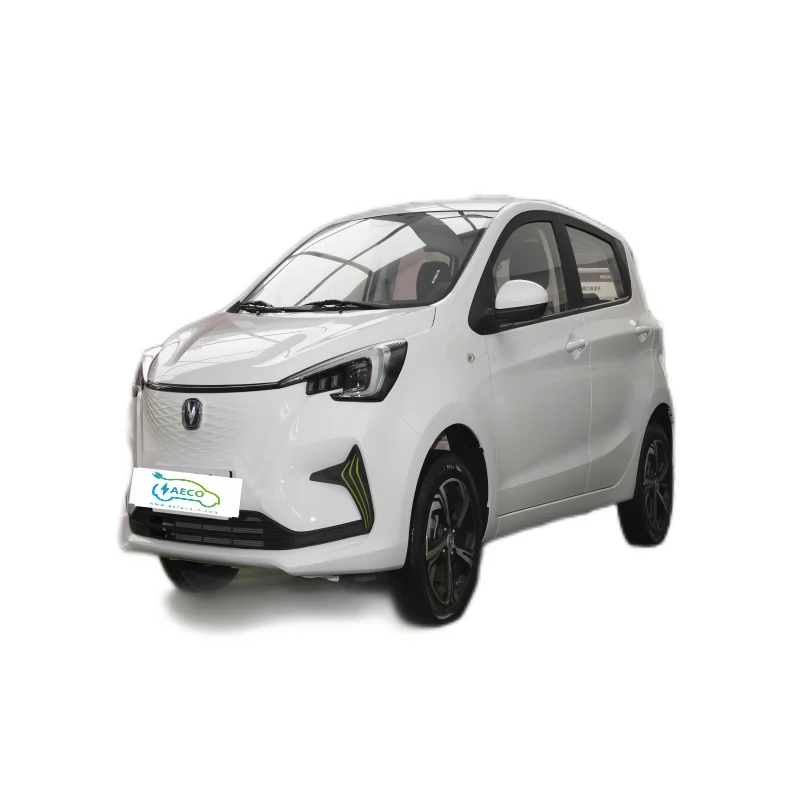 New Energy Second Hand in China Used Electric Car for Sale