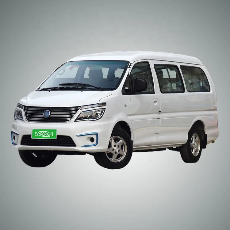 Micro Us Car  Electric Cars for Adult  DongFeng LINGZHI M5