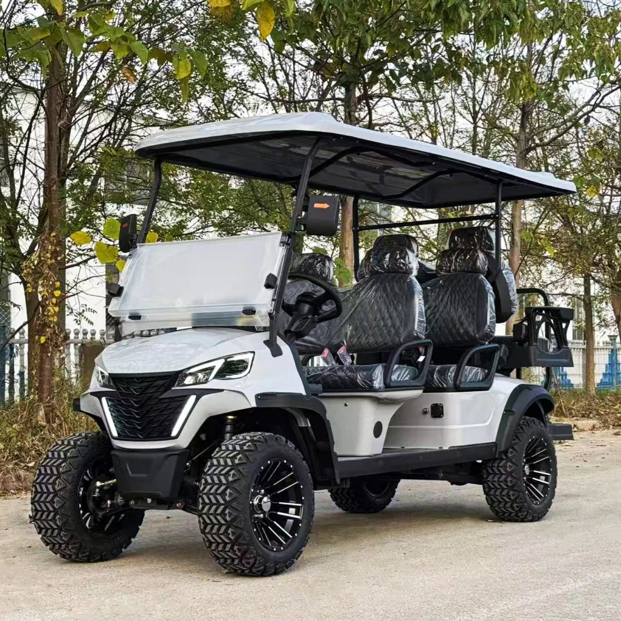 Golf Carts Price Lithium Baterry 5KW Motor Electric Golf Cart