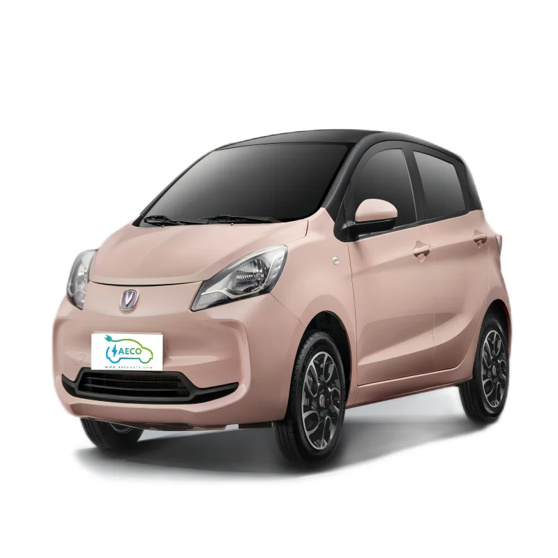 New Energy Second Hand in China Used Electric Car for Sale