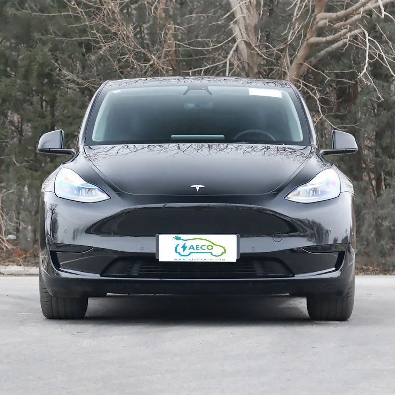 Tesla Model Y 100% Electric Cars New Energy Vehicle Car