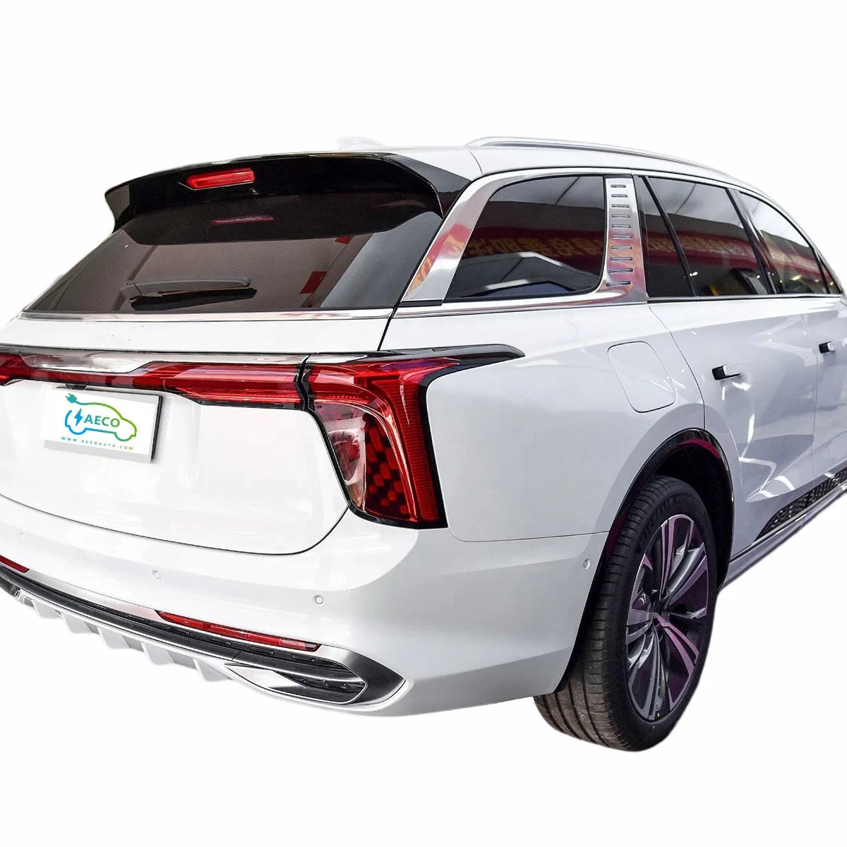 2024 Smart Control System New Energy Automobile E-hs9 With 460km