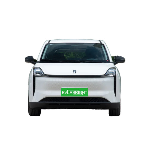 2022 BESTUNE E05 Cheap Electric Car MPV English Version 419km