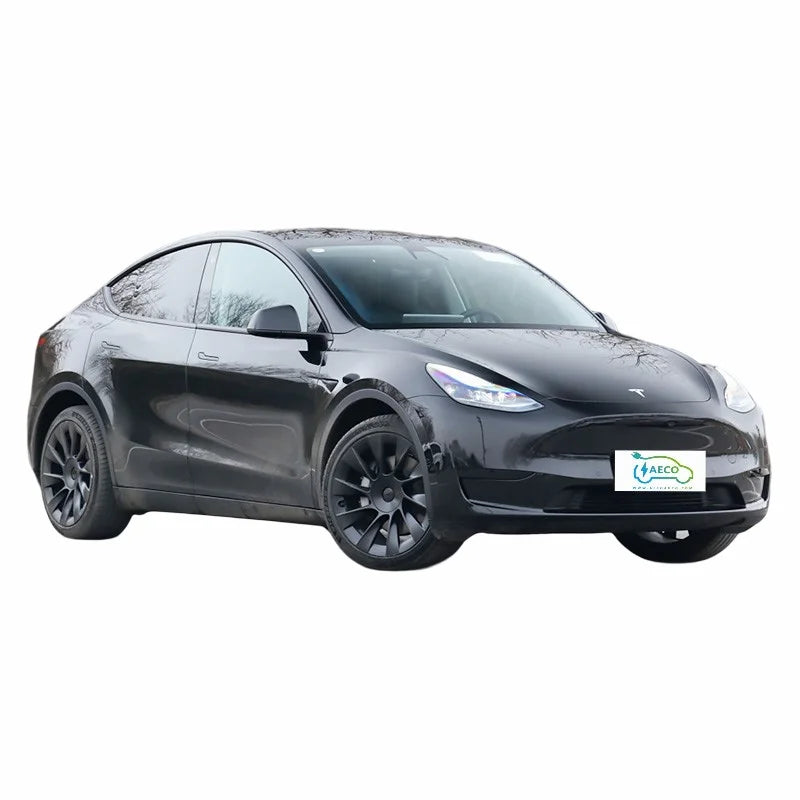Tesla Model Y 100% Electric Cars New Energy Vehicle Car