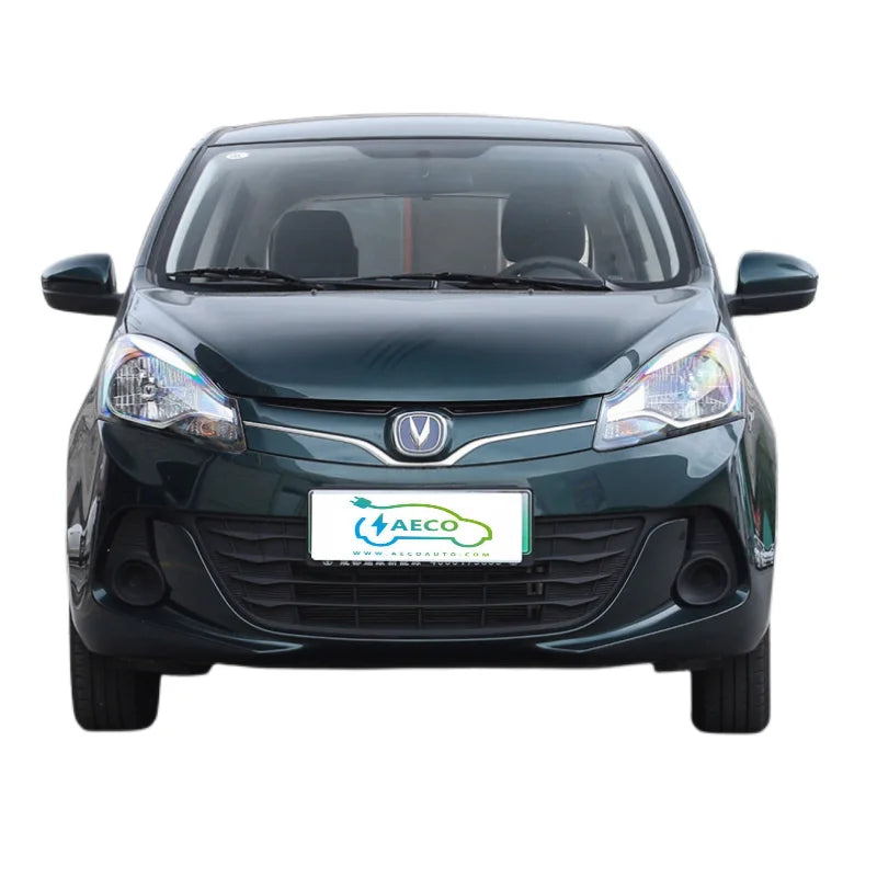 New Energy Second Hand in China Used Electric Car for Sale