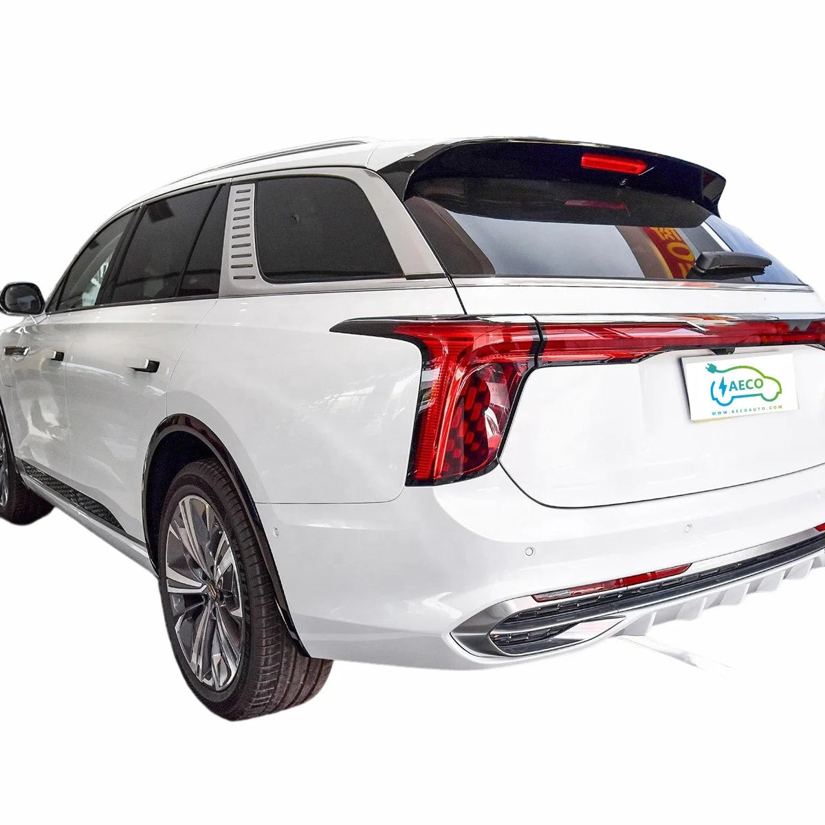 2024 Smart Control System New Energy Automobile E-hs9 With 460km