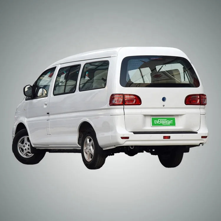 Micro Us Car  Electric Cars for Adult  DongFeng LINGZHI M5