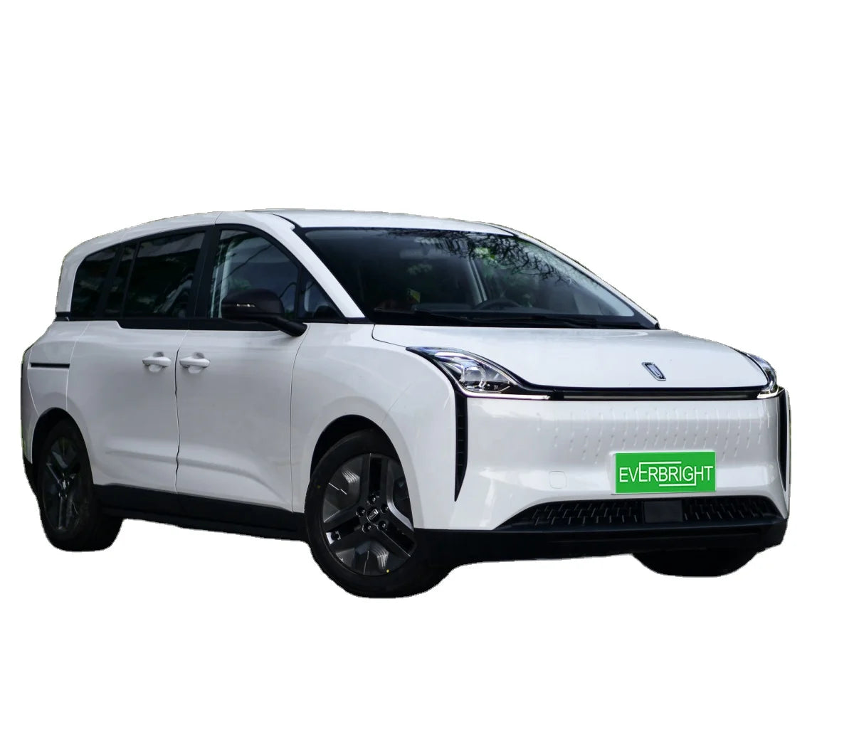 Electric Car Dongfeng English Version MPV 419km