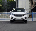 Automotive High Speed New Cars ABS /Airbag Electric Car