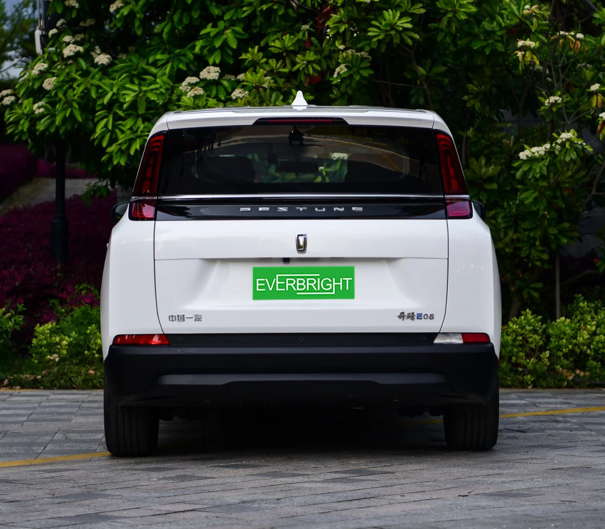 Electric Car Dongfeng English Version MPV 419km