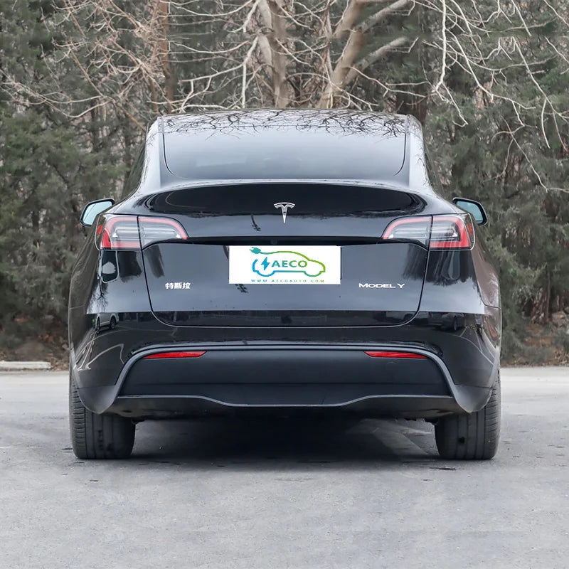 Tesla Model Y 100% Electric Cars New Energy Vehicle Car