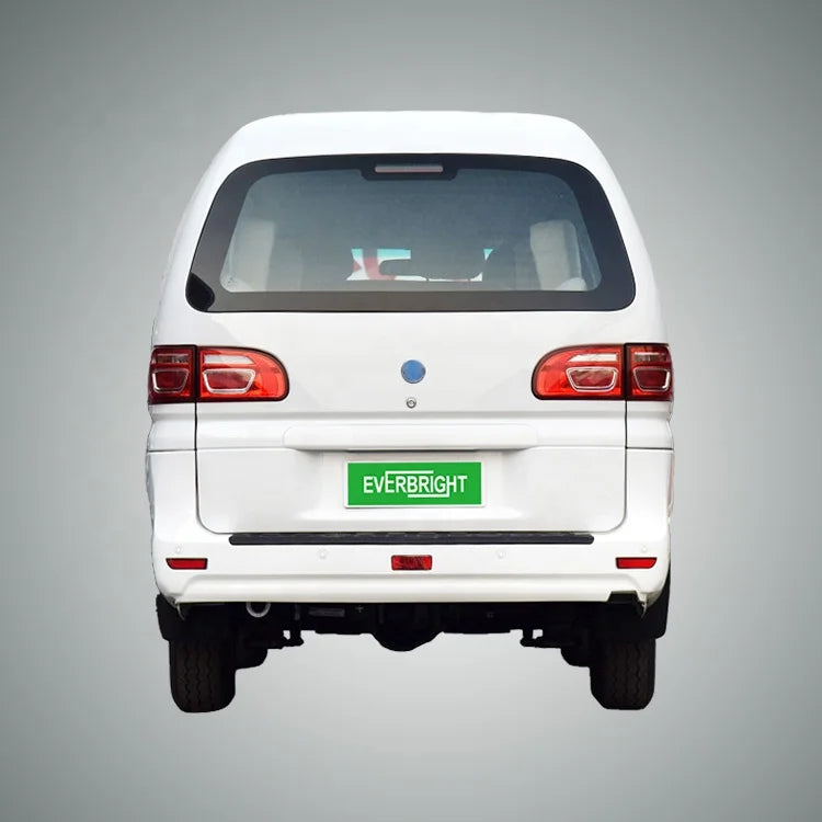 Micro Us Car  Electric Cars for Adult  DongFeng LINGZHI M5
