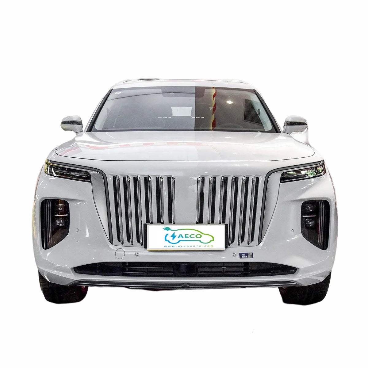2024 Smart Control System New Energy Automobile E-hs9 With 460km