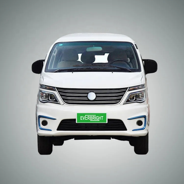 Micro Us Car  Electric Cars for Adult  DongFeng LINGZHI M5