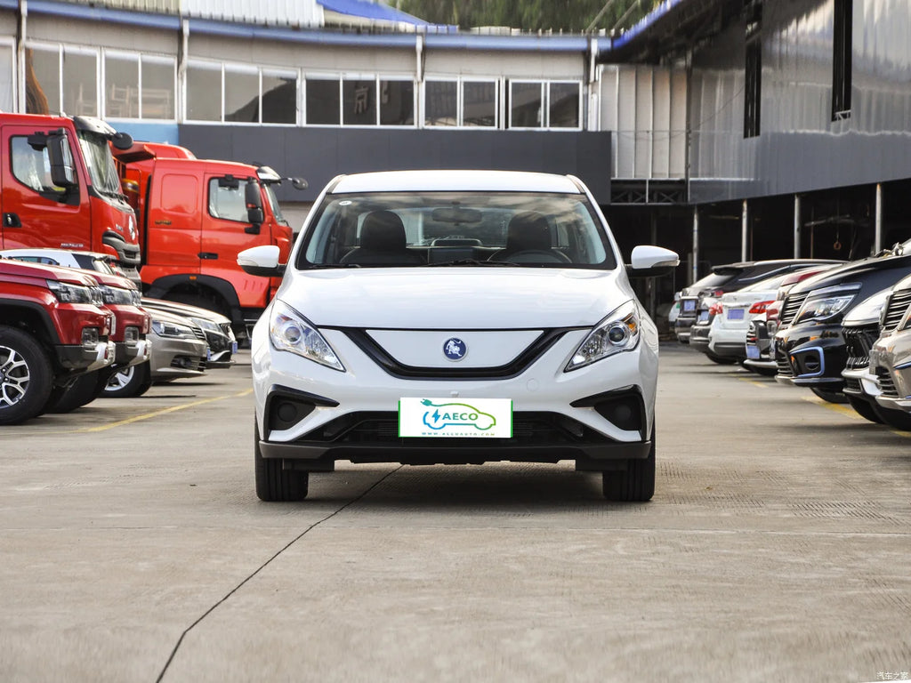 Dongfengfengxing S50 Ev Sedan