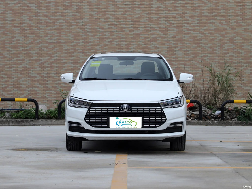 2024 New Energy Car Electric Vehicles