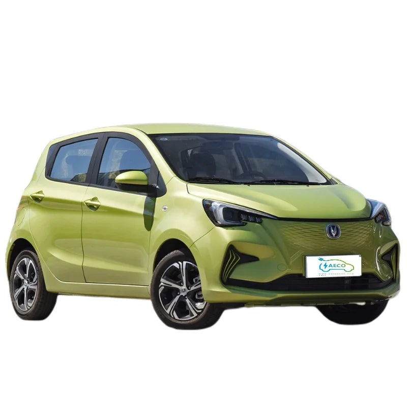 New Energy Second Hand in China Used Electric Car for Sale