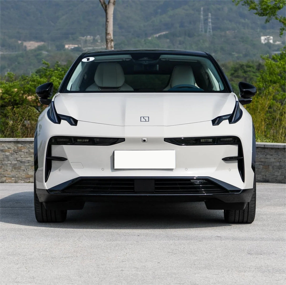 Zeekr X New Energy Vehicle Zeekrx Zeekr X Car 2023 4 Seats Rear Wheel Four-Wheel Drive
