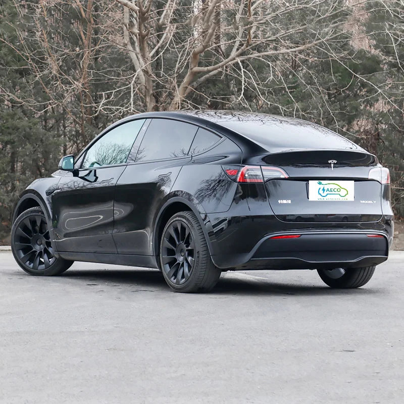 Tesla Model Y 100% Electric Cars New Energy Vehicle Car
