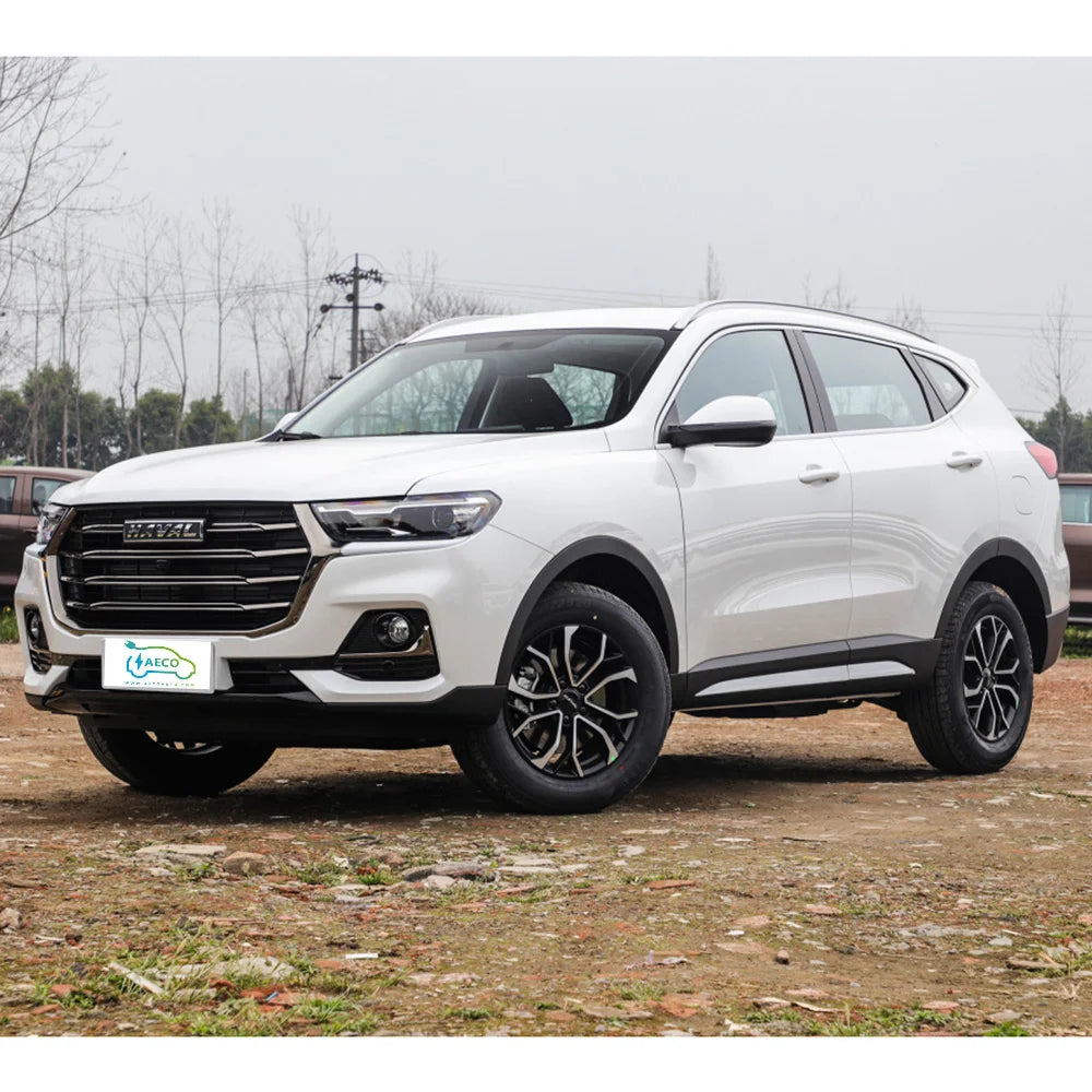 Haval Fuel Car Big Space 5 Seats Suv 2.0t New Automobile Cars
