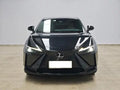L E X U s RZ 2023 450e DIRECT4 Longitudinal Enjoyment Edition