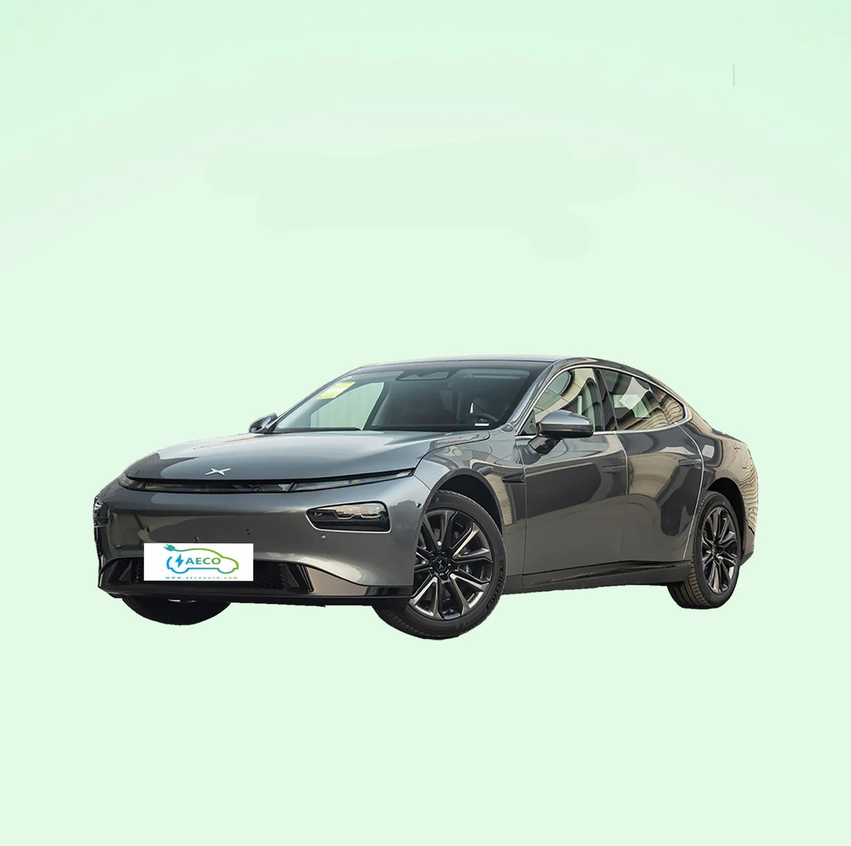 Gray Xpeng P7 670n+ Electric Car