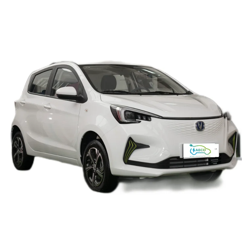 New Energy Second Hand in China Used Electric Car for Sale