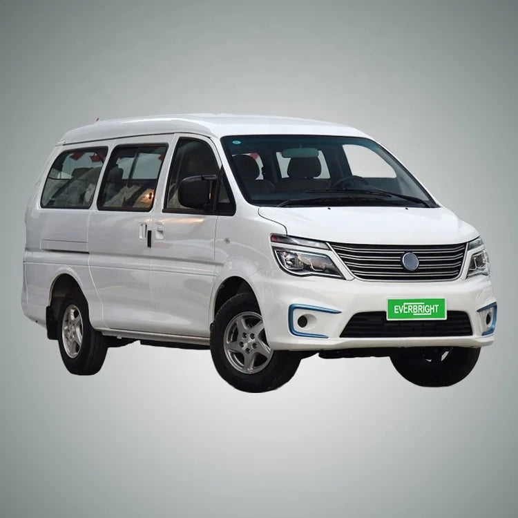 Micro Us Car  Electric Cars for Adult  DongFeng LINGZHI M5