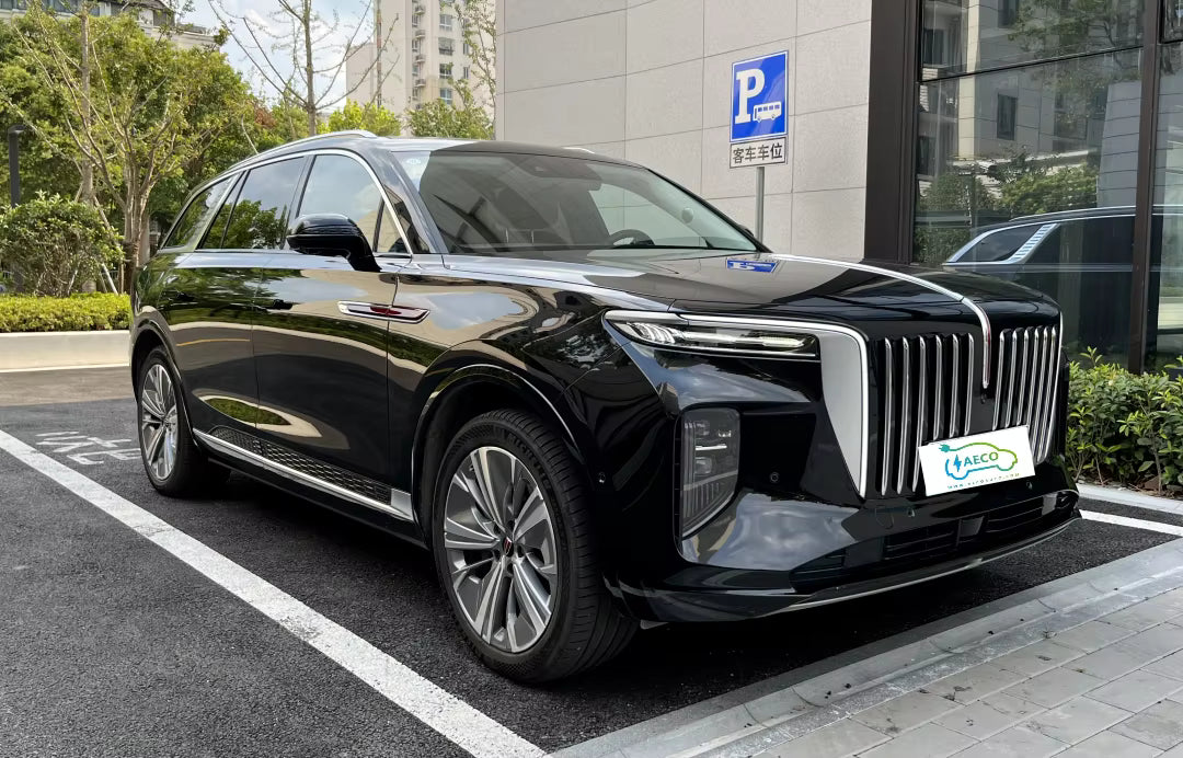 2024 Smart Control System New Energy Automobile E-hs9 With 460km